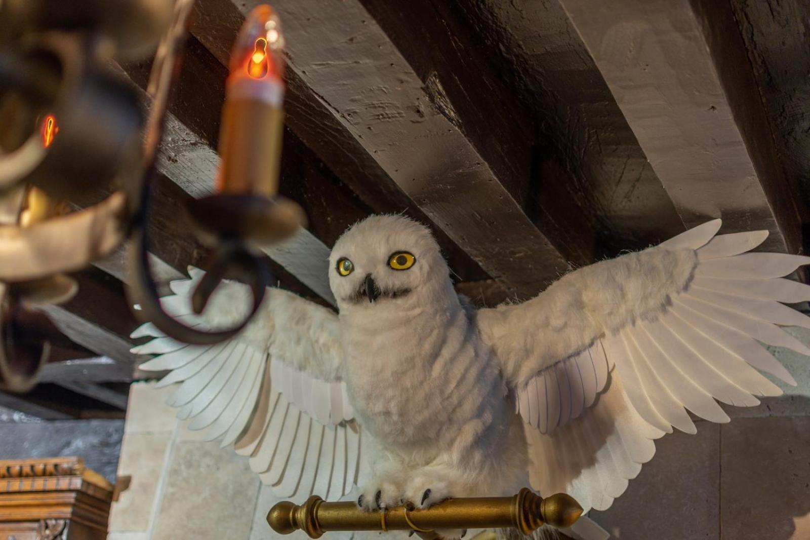 Sorcier Magique & Experience Immersive Caen Exterior photo